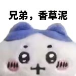 cnmd的头像-巴格卡